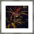 Tropical Plant Abstract Framed Print