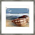 Tropical Shell 2 Framed Print