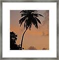 Tropical Sunrise Silhouette Framed Print