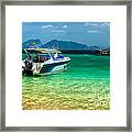 Tropical Travel Framed Print