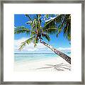 Tropical White Sand Beach Framed Print