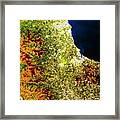 True-colour Satellite Image Of North-east England Framed Print