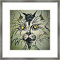 Tsimos Cat Framed Print