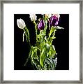 Tulip Impressions Ii Framed Print