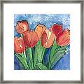 Tulips After The Rain Framed Print