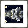 Tulips And Moon Reflection Framed Print