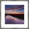 Tulips And Purple Skies Framed Print