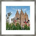 Tulips At The Temple Framed Print