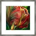 Tulips - Colors Of Paradise Framed Print