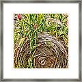 Tulips Gone Wild On A Hay Bale Framed Print