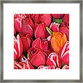 Tulips In Pike Place Market Framed Print