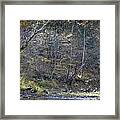 Turkey Crossing At Big Hollow Framed Print