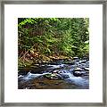 Turniptown Creek On Walnut Mountain Framed Print