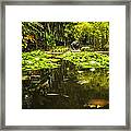 Turtle In A Lily Pond Framed Print