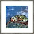 Turtle In Atlantis Framed Print