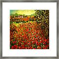 Tuscan Poppies Framed Print