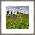 Tuscany - Pienza Framed Print