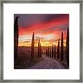Tuscany Sunset Framed Print