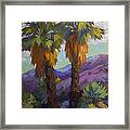 Twin Palms At Indian Canyons Framed Print
