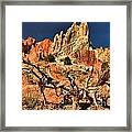 Twisted And Colorful Framed Print