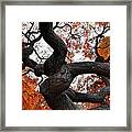 Twisted Framed Print