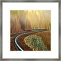 Twists And Turns Framed Print
