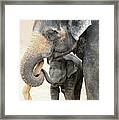 Two Framed Print