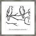 Two Birds Perch On A Branch That Has Marshmallows Framed Print