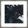 Two Black Cats Framed Print