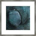 Two Blue You Framed Print