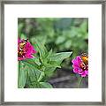 Two Busy Framed Print