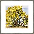 Two Country Horses Autumn View Framed Print