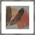 Two Feathers Framed Print