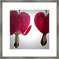 Two Hearts. Framed Print