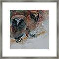 Two Hoots Framed Print