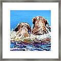 Two Labs One Wake Framed Print