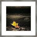 Two Leaves On A Staircase Framed Print