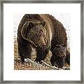 Two Of A Kind Framed Print