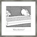 Two Pigs Look At Another Pig With A Coin Slot Framed Print
