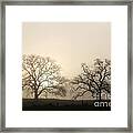 Two Trees In Fog Framed Print