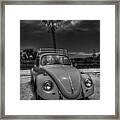 Tybee Island Beach Bug 002 Bw Framed Print