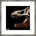 Tyrannosaurus Rex Skull 4 Framed Print