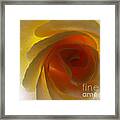 Unaltered Rose Framed Print