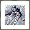 Under The Comforter Framed Print