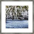 Under The Pines Framed Print