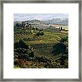 Under The Tuscan Sun Framed Print