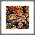 Underwater Treasure Framed Print