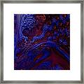 Unpolluted Ecosystem Framed Print