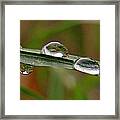 Up And Down Drops Framed Print