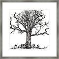 Uprooted Framed Print